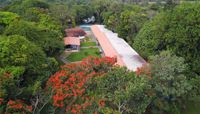 Foto da clínicaClínicas de Recuperação Viva Vida em Ilhéus- BA